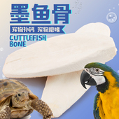 草龟乌龟陆龟蜥蜴鹦鹉天然磨牙防治地包天补钙磨喙墨鱼骨大块