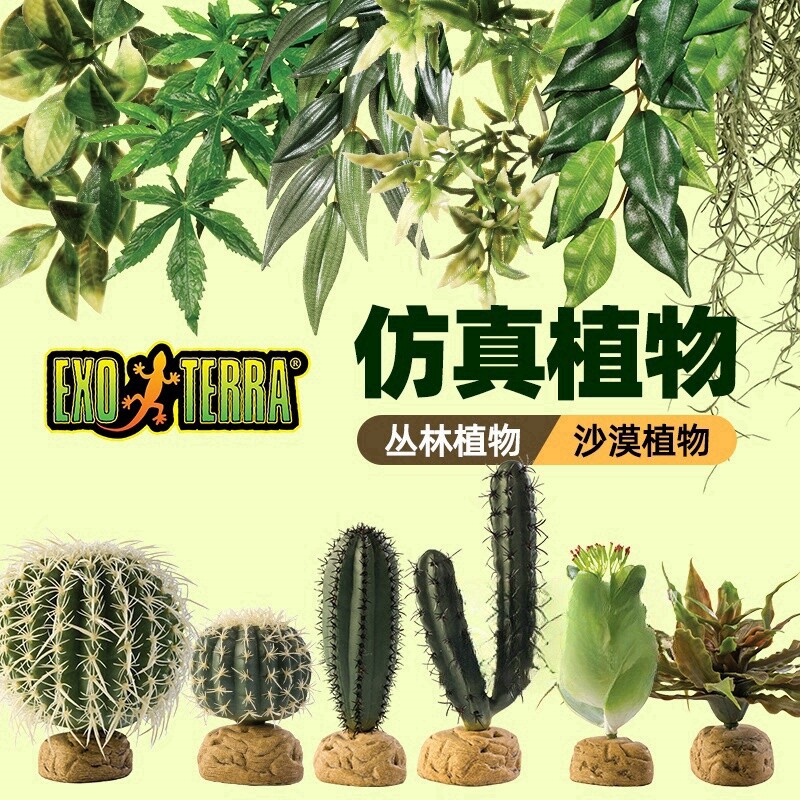 希瑾爬虫雨林缸造景仿真植物爬宠躲避睫角守宫饲养箱绿植装饰龟背图片