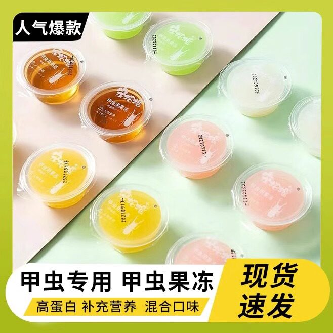 甲虫果冻昆虫食物锹甲兜虫长戟蚂蚁蛋白幼昆虫独角仙大扁锹甲果冻