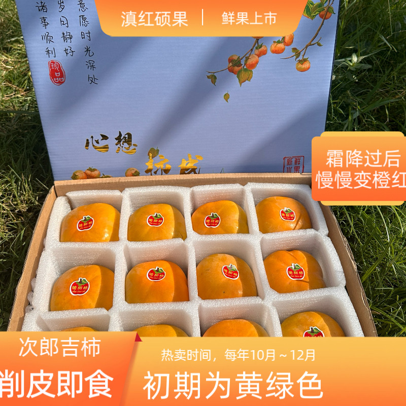 云南保山特产柿子脆柿巧克力脆柿新鲜硬柿子应季孕妇水果特大礼盒