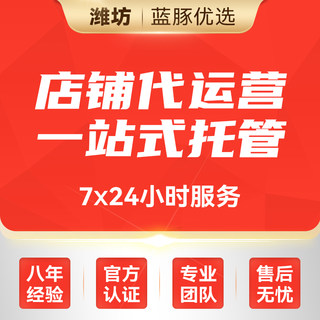 潍坊淘宝代运营整店托管直通车推广天猫拼多多运营新店网店代营运