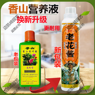 浓缩专通用型家用养花种菜绿萝发财 香山黄叶绿营养液花肥正品
