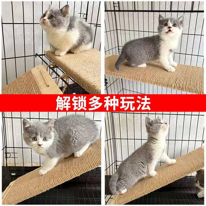 剑麻猫抓板猫爬软梯耐磨玩具不掉毛多功能墙贴瓦楞纸猫咪攀爬玩具 - 实物图