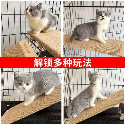剑麻猫抓板猫爬软梯耐磨玩具