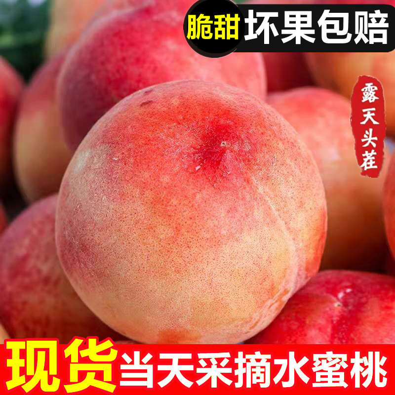 脆甜山西头茬水蜜桃水果
