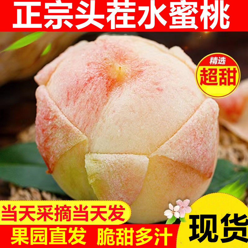 现货正宗水蜜桃当季新鲜水果整箱10斤现摘时令蜜桃可撕皮毛桃密桃