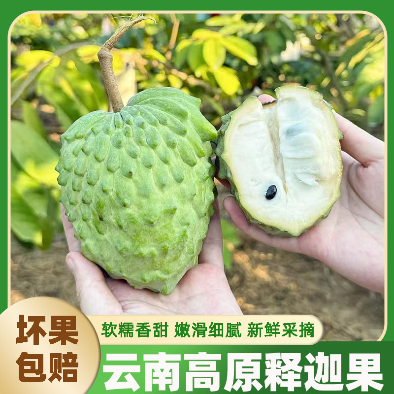 云南高原释迦果软糯香甜图片