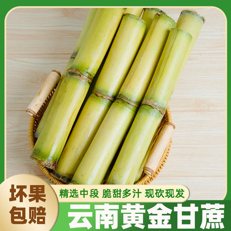 云南新鲜黄金甘蔗热带水果黄皮甜蔗特产应季当季新鲜水果脆甜多汁