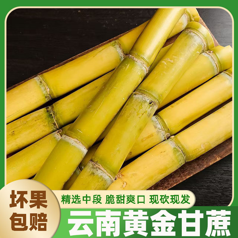 云南特产新鲜黄金甘蔗甘甜应季当季水果热带水果黄皮甜蔗脆甜多汁