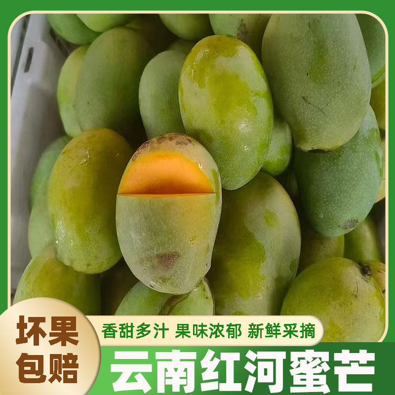 云南红河本地蜜芒果新鲜水果香甜多汁现摘现发甜蜜香甜新鲜芒果
