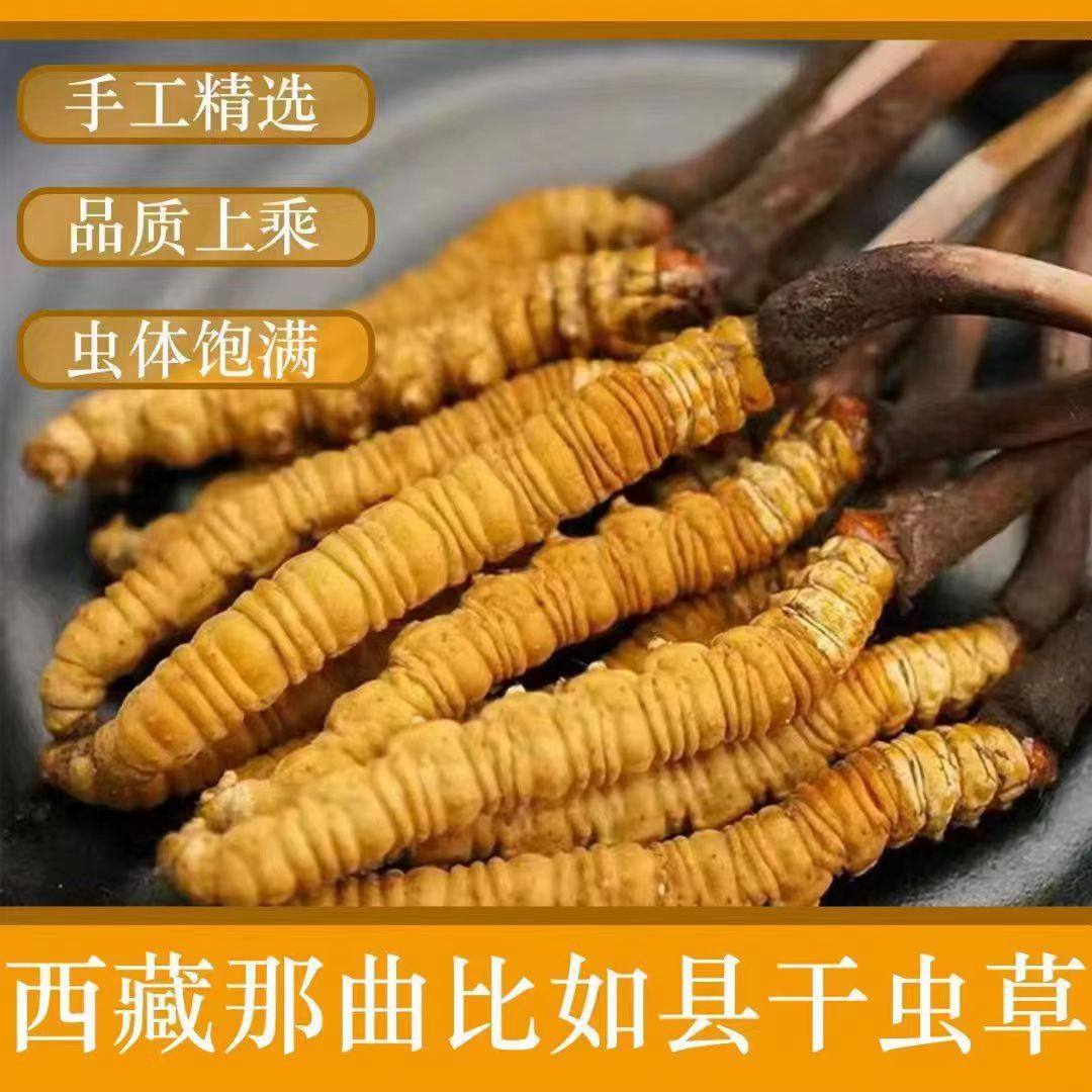 西藏那曲冬虫夏草足干虫草全规格批发无断草产地直供滋补品天然