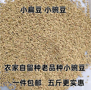 优质农家种小扁豆小豌豆鸡眼豆自留种小豌豆五谷杂粮凉粉凉皮原料