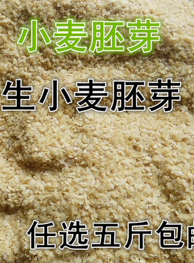 生小麦胚芽500g一件不含麸皮
