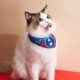 国风系列猫咪三角巾新款 高颜值拍照围兜防抓防脱口水巾围脖小型犬