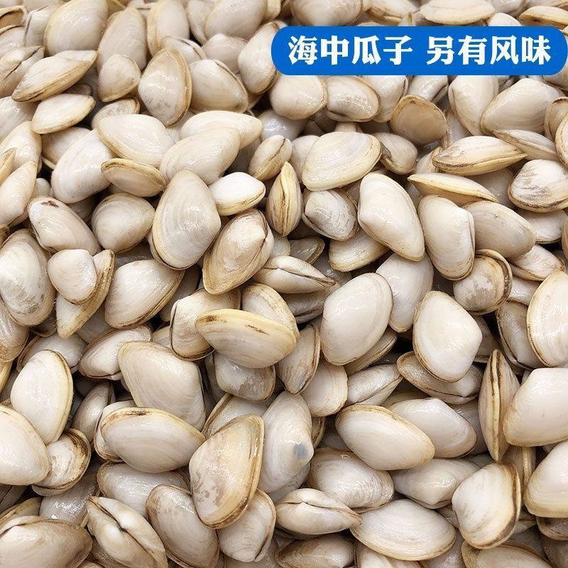 海鲜鲜活海瓜子新鲜无沙海沙子白瓜子小蛤蜊新鲜海鲜贝类水产包邮