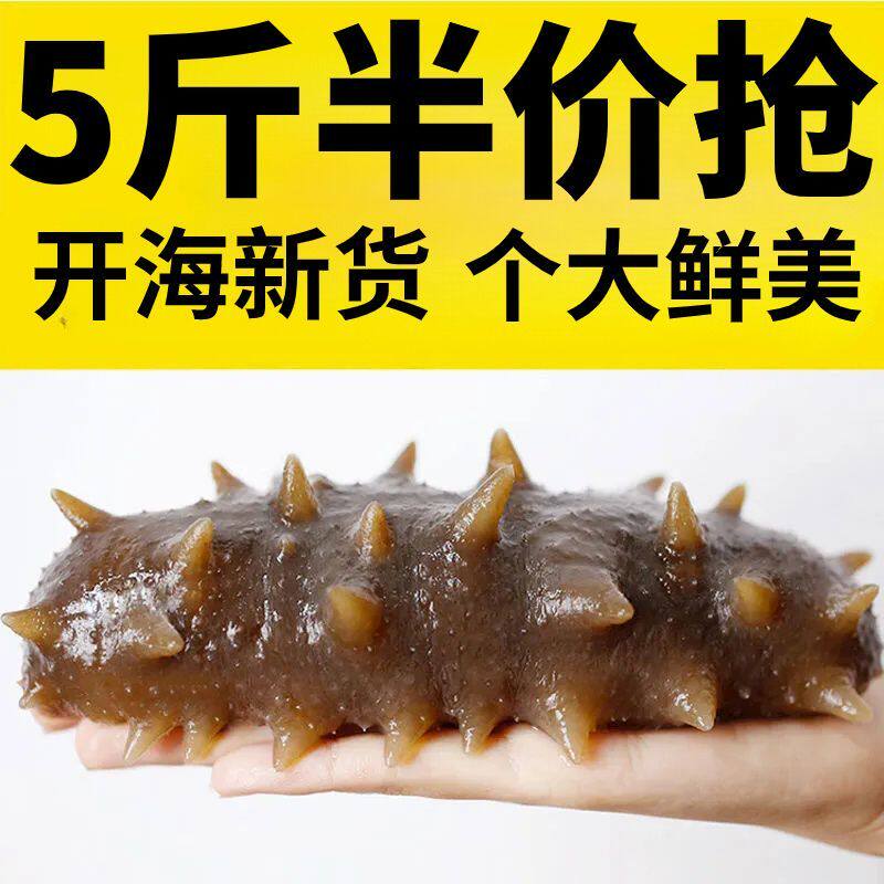 厂家直销当季新货即食深海辽刺参