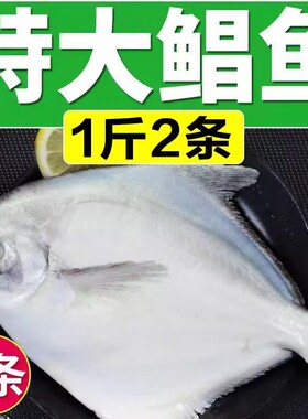 东海大银鲳鱼1斤2条新鲜银鲳鱼平鱼鲜活冷冻水产深海鱼大鲳鱼