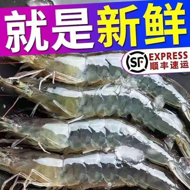 鲜活速冻基围虾顺丰冷链超大海捕