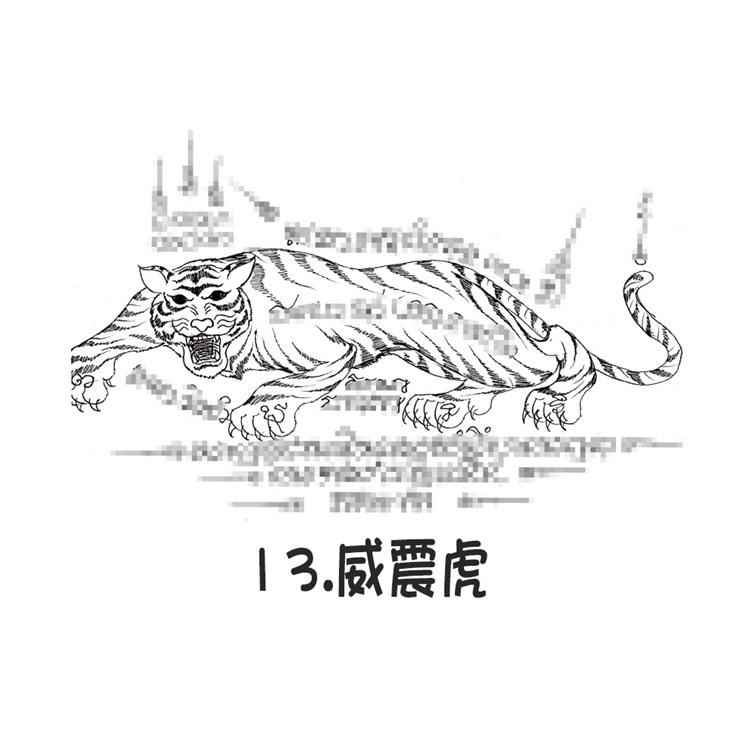 威震虎 泰国银针刺符 阿赞朕甩 2025年10月1日 广州见面会