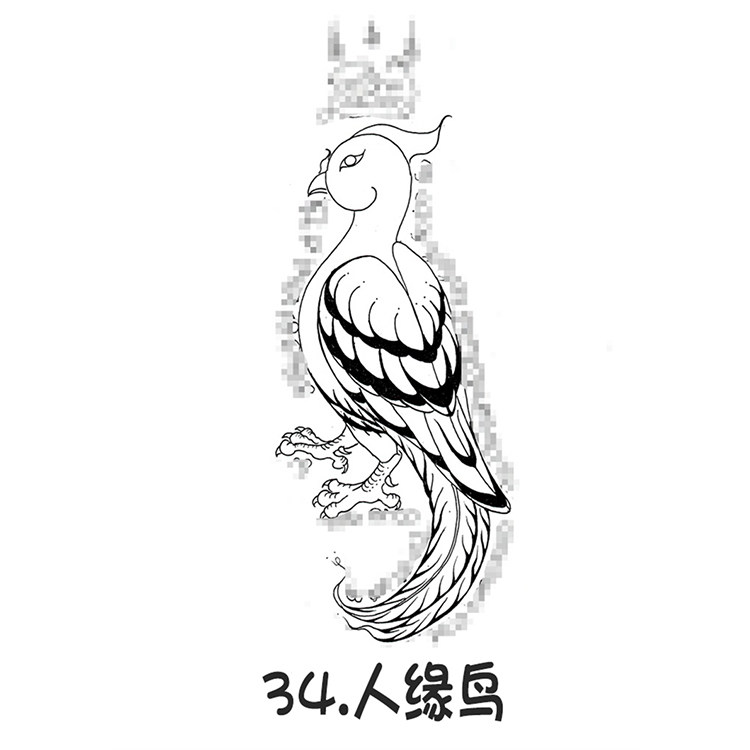 人缘鸟 泰国银针刺符 经文 纹身阿赞朕甩 2025 6月28日广州见面会