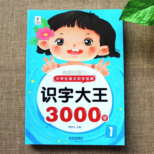 启蒙认知识字大王3000字