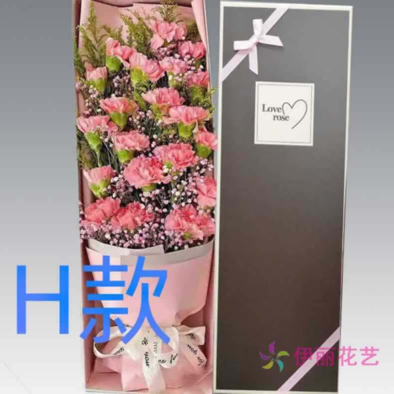 生日纪念康乃馨河南信阳花店送花固始县潢川县淮滨县同城鲜花快递