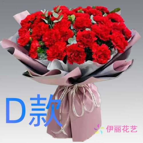 生日纪念康乃馨陕西咸阳订花店送花彬县长武县旬邑县同城鲜花快递