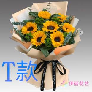生日探望康乃馨河南开封花店送花顺河区鼓楼区南关区同城鲜花速递