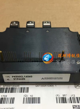 PM300RL1A060 PM300RLA060 PM300CLA060 PM300CL1A060