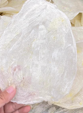 圆鱼肚特产海鲜干货新鲜美容滋补芒鱼胶小鱼肚酒店花胶泡筒片