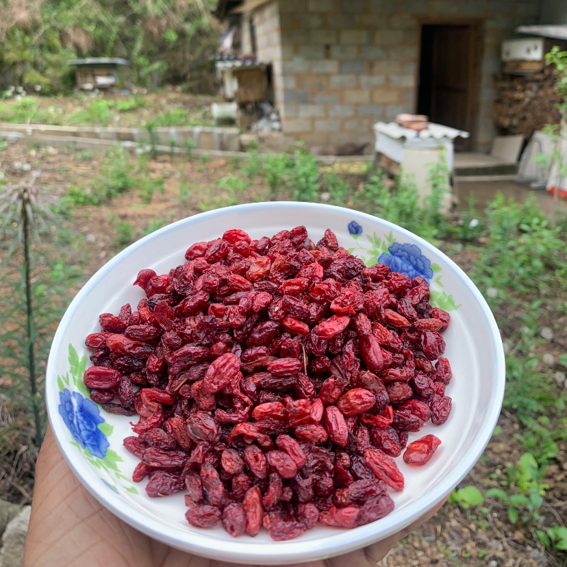 陕西秦岭山茱萸 去核干果 产地直供 农家自晒传统食材 煲汤煮水用