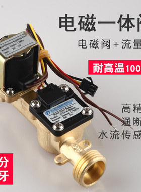 电磁开关计量阀一体阀WFS-E-B006S校园洗澡刷卡12v24v鼎方厂家