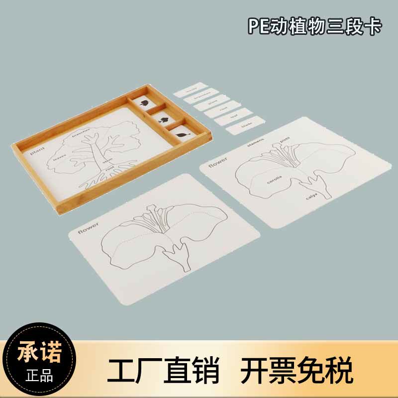 蒙氏教具动物三段卡鸟鱼马乌龟青蛙对照三部卡蒙特梭利早教控制卡