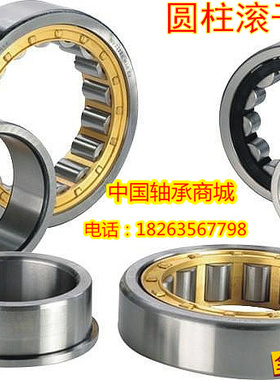 天马TMB轴承N NU NJ1004 1005 1006 1007 1008 1009 1010E EM M