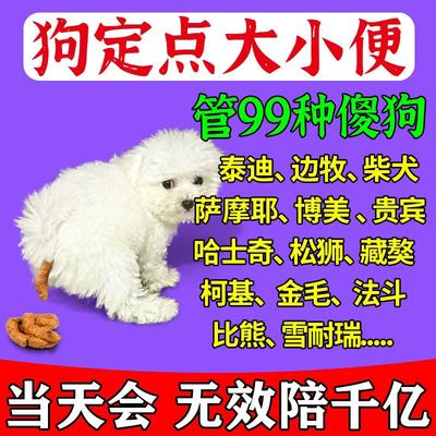 狗狗定点上厕所神器防止小狗比熊泰迪乱拉屎尿训练大小排便诱导剂