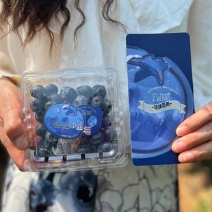 抚仙湖纯甜蓝莓L25鲜果送礼佳品孕妇宝宝水果现货新鲜蓝莓摘现