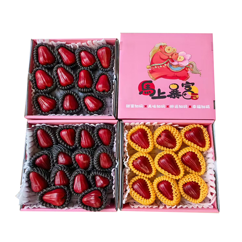 海南黑金刚莲雾5礼盒马到成功年货热带水果冬季补水酥脆莲雾顺丰,水产肉类/新鲜蔬果/熟食,莲雾,淘宝优惠券,粉丝福利购,淘宝优惠卷