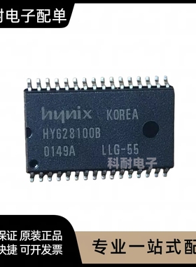HY628100BLLG-55 HY628100B 贴片全新直销 现货特价 可直拍！