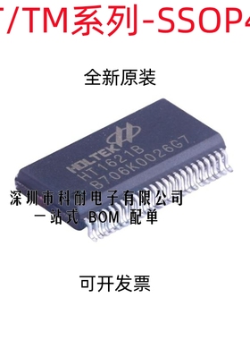 HT1621 HT1621B TM1621B TM1721 TM1727 贴片 SSOP-48 驱动芯片