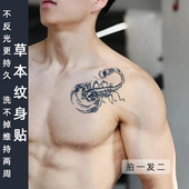 草本半洗不掉身贴蝎子男女防水持久仿真刺青胸口虎口花臂 二张