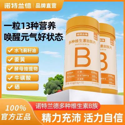 诺特兰德复合B族维生素c咀嚼片vc多种维b6b12全族vb1维c盈养魔法