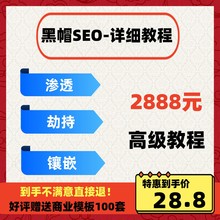 黑帽seo优化视频教程搜索引擎关键词收录白帽SEO实战推广全套课程