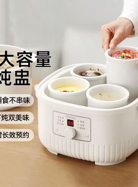 日本SDRNKA电炖锅电炖盅隔水炖家用全自动蒸煮煲汤大容量炖汤锅