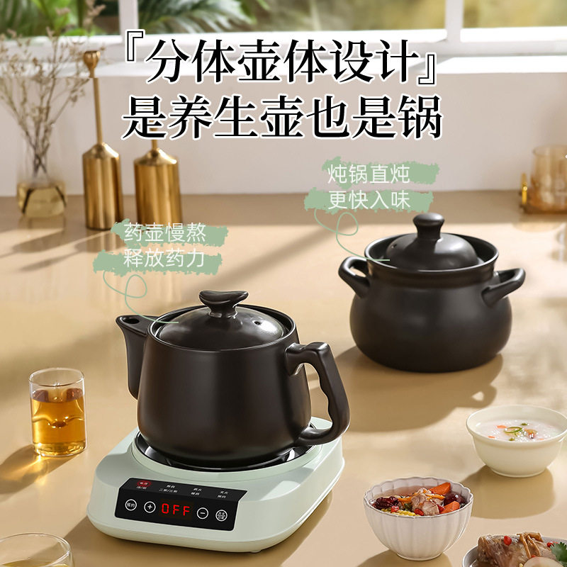 煎药壶全自动熬药中药电煎壶家用电药煲电砂锅煲汤锅熬汤煎药两用