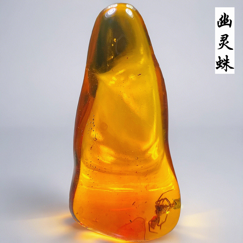 新款缅甸纯天然幽灵蛛虫珀原石蜘蛛琥珀血珀吊坠昆虫化石标本保真