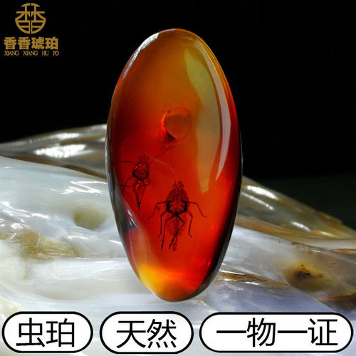 原矿纯天然虫珀水胆树叶琥珀化石