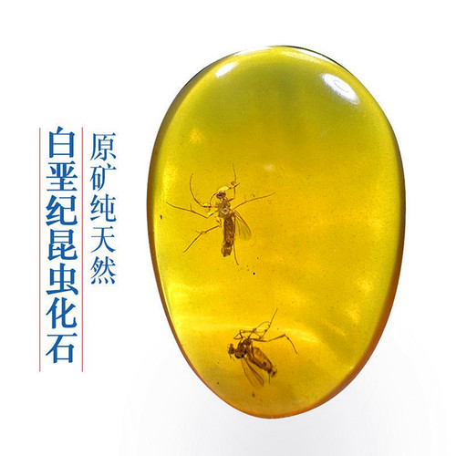 纯天然植物水胆吊坠虫珀蜜蜡琥珀