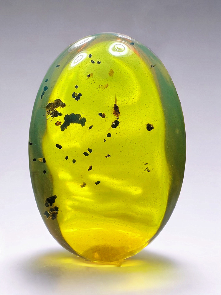 New Burmese pure natural insect amber raw stone, Cretaceous bee a