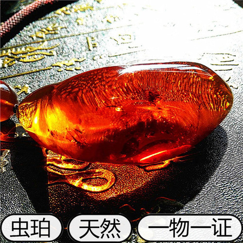 纯天然琥珀虫珀昆虫化石吊坠项链