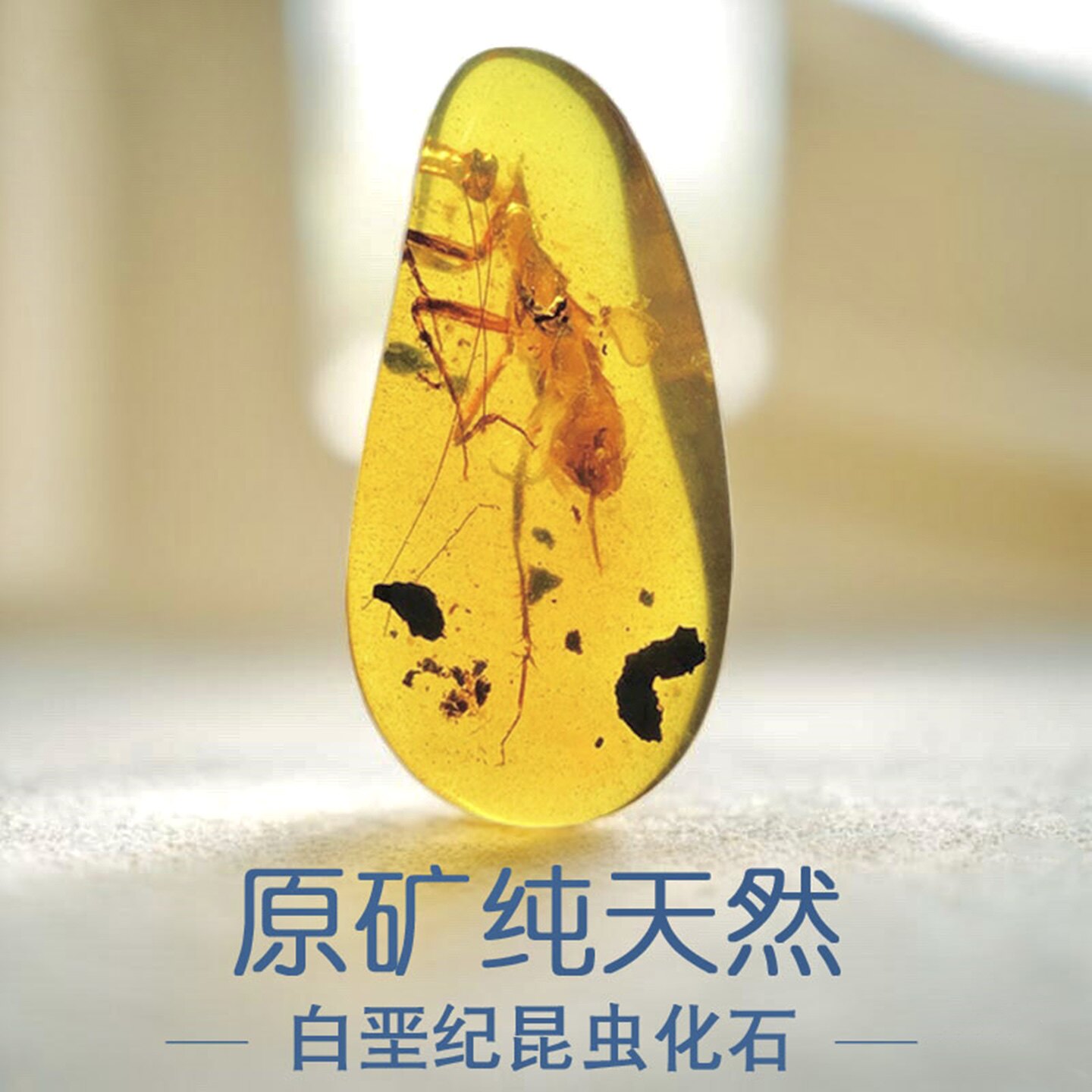 缅甸纯天然蜜蜡原石原矿虫珀白垩纪松枝琥珀昆虫标本化石科普收藏